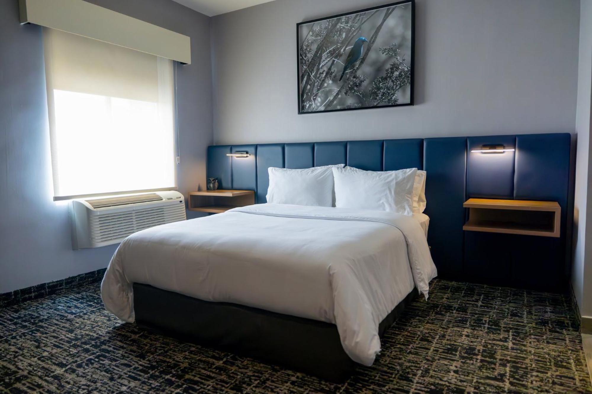 CoSuites Saltillo Hotel Esterno foto