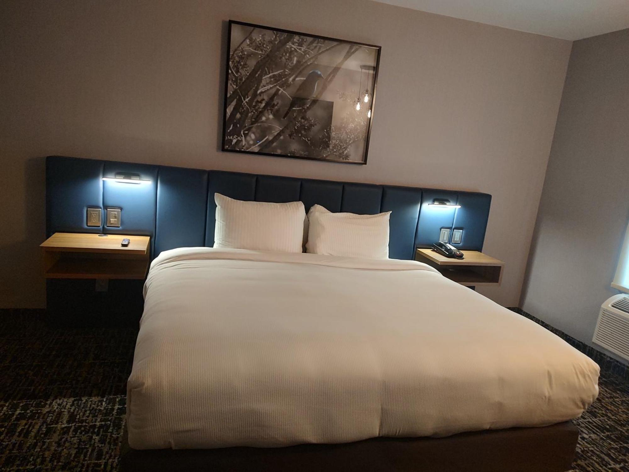 CoSuites Saltillo Hotel Esterno foto
