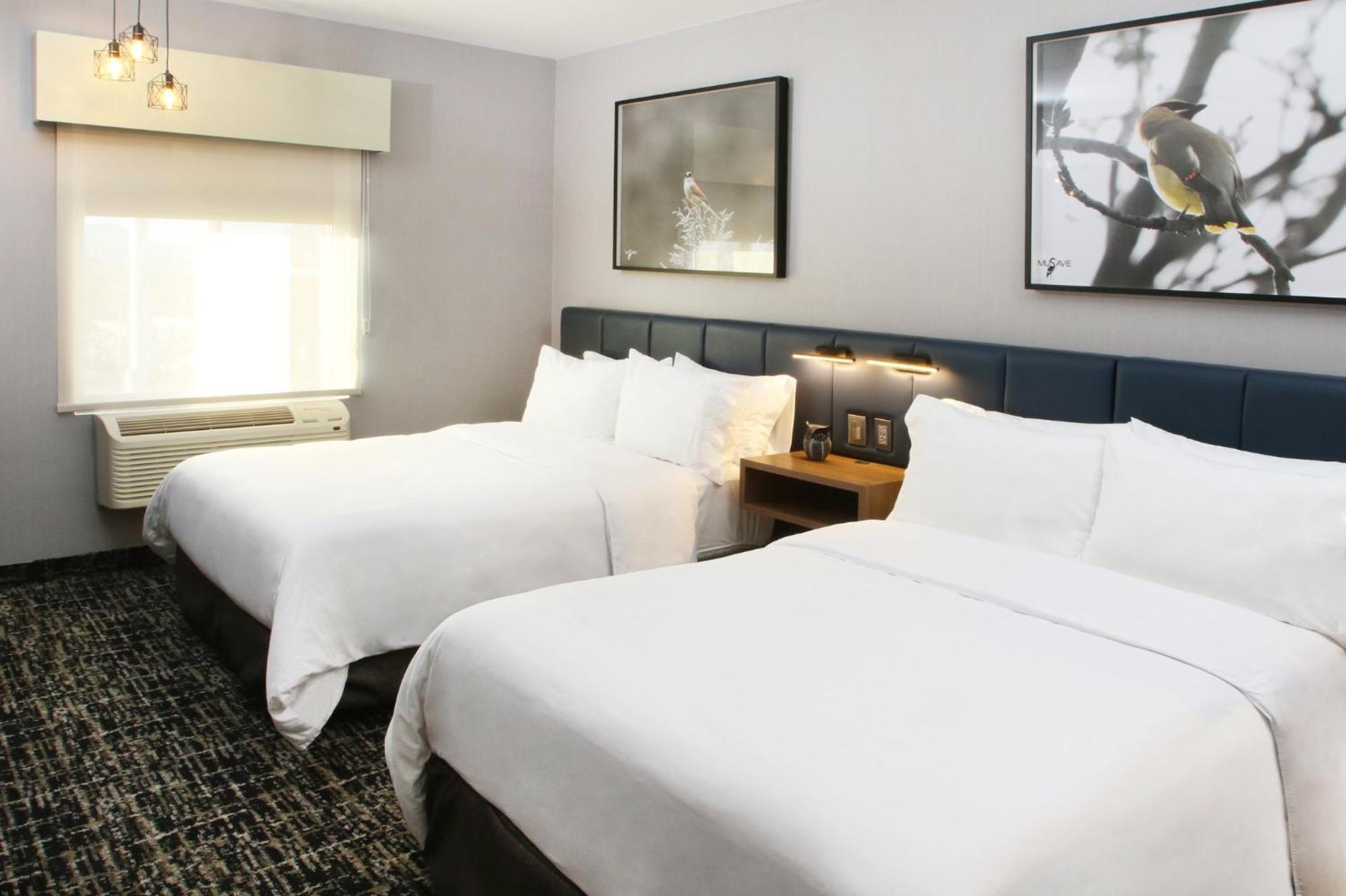 CoSuites Saltillo Hotel Esterno foto